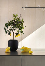 Lade das Bild in den Galerie-Viewer, Byon Design Cup and Plate Tasse und Unterteller Lemon Zitrone